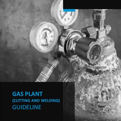 Gas Plant Guideline